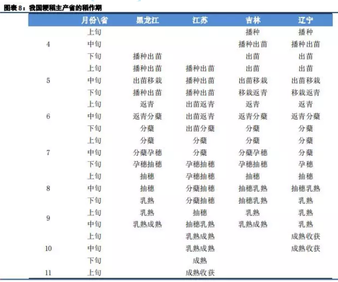 粳米期货