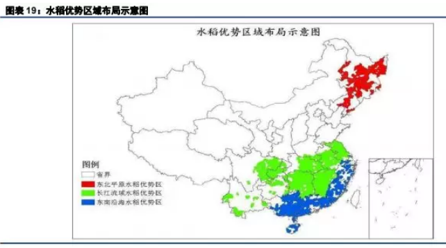 粳米期货