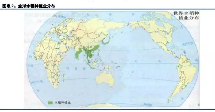 粳米期货